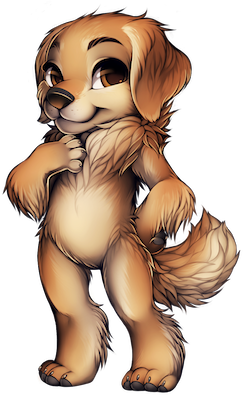 34-1-golden-retriever.png